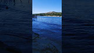 Bass Lake Oakhurst CA [upl. by Niran]