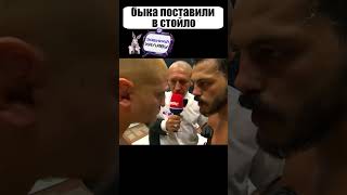 Скромный азербайджанец ПОСТАВИЛ БЫКА на МЕСТО shorts [upl. by Nwotna777]