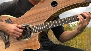 Have You Ever Seen The Rain  CCR  Harp Guitar Cover  Jamie Dupuis [upl. by Nireil]