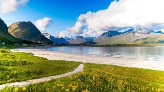 Uplifting Music  light positive happy music Gullrosøya  1 hour [upl. by Nagol758]