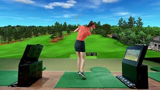 Bravo Golf Simulator [upl. by Ardnaeed]