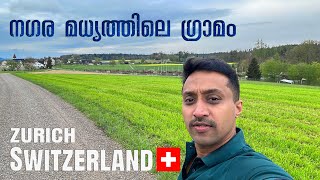 07 സ്വിറ്റ്‌സർലാൻഡ് സിറ്റിക്കുള്ളിലെ മനോഹര ഗ്രാമം  Palanadan Traveller I Europe I Switzerland [upl. by Jenine]