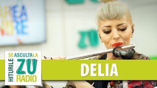 Delia  Fata verde Phoenix Live la Marea Unire ZU [upl. by Bores919]