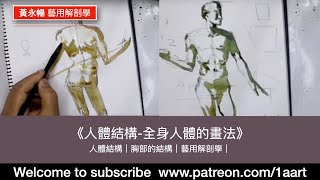 《素描直播怎樣全身人體》人體比例｜人體結構｜胸部的結構｜藝用解剖學｜（香港＋國語）直播｜ [upl. by Carpet313]