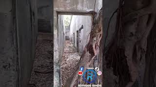 hospital de armero historia misterio naturaleza paranormal [upl. by Otilesoj]