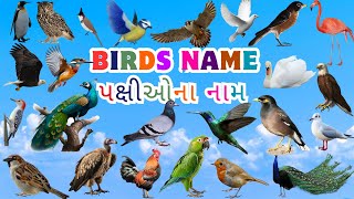 Birds name  પક્ષીઓના નામ  birds name and their specialtyપક્ષીઓના નામ અને તેની વિશેષતાBirds sound [upl. by Boff182]