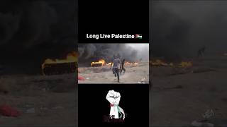 Leve palestina  long live Palestine Palestinian boy dance in war near fire  viral video [upl. by Sol]