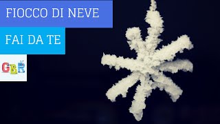 Esperimento di chimica con meno di 5 euro come fare neve finta in casa [upl. by Barimah]