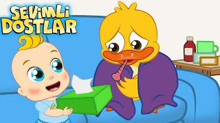 Hapşu YENİ  Sevimli Dostlar Bebek Şarkıları  Adisebaba  Kids Songs Nursery Rhymes [upl. by Grati]