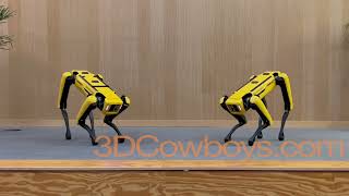 Dancing Boston Dynamics Robot Dogs  3DCowboyscom [upl. by Karee]