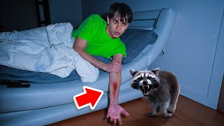 A Vicious Raccoon ATTACKED Me In The Middle Of The Night [upl. by Sharyl]