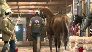 Remington Futurity PreviewMighty B Valiant [upl. by Natalie]