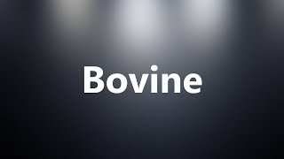 Bovine  Medical Definition and Pronunciation [upl. by Hinkel321]