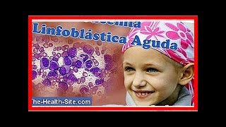 Sintomas da leucemia aguda e como é feito o tratamento [upl. by Sugden]