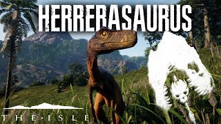 Herrerasaurus Gameplay The Isles New Dinosaurs Update [upl. by Lecia157]