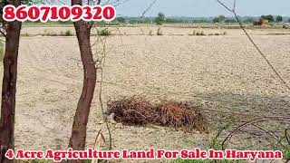 4 Acre Agriculture Land For Sale In Rohtak Haryana  8607109320  agriculture [upl. by Nibur]