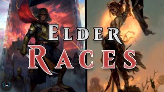 The Elder Races  Witcher Explained Part 4  Witcher Lore [upl. by Sophronia134]