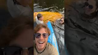 Another flipped kayak kayak beer canada cottage river party [upl. by Neb575]