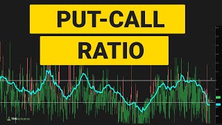 Is The Put Call Ratio Warning Us [upl. by Corsiglia]