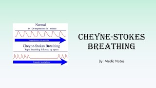 CheyneStokes breathing  causes pathophysiology in congestive heart failure sign value [upl. by Allenaj350]