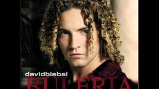 David Bisbal  Permítame señorawmv [upl. by Nylqcaj477]