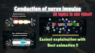 Conduction Of Nerve impulse Animation  Neural Control amp Coordination For NEET 🧠 [upl. by Grevera]