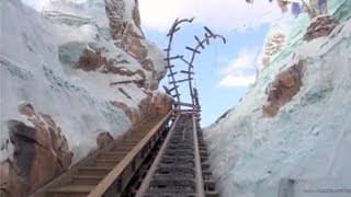 Expedition Everest POV in REVERSE Backwards with Night Vision Disneys Animal Kingdom Disney World [upl. by Isewk]