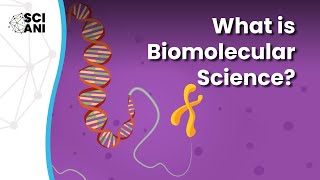 Just what is Biomolecular Science [upl. by Ynneb434]