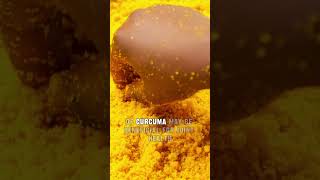 Curcuma Joint Health and Arthritis Relief cooking curcuma food medicine spice turmeric [upl. by Ellehcal]