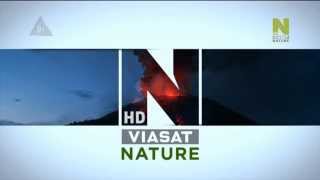 Viasat History HD  Viasat Nature HD  New Idents 30042014 [upl. by Croom]