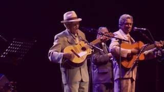 Compay Segundo  Sabroso Live Olympia París 1998 [upl. by Grenier532]