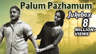 Palum Pazhamum Tamil Movie Songs Jukebox  Sivaji Ganesan Saroja Devi  Classic Songs Collection [upl. by Mccarthy]