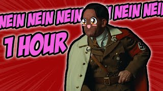 Hitler goes NEIN NEIN NEIN for 1 hour meme [upl. by Kelcey]