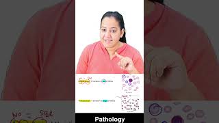 5 Anisocytosis and Poikilocytosis [upl. by Goeselt]