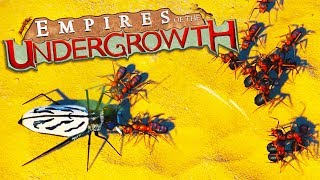 TIGER BEETLES and WOLF SPIDER INFESTATIONS  Empires of the Undergrowth Gameplay [upl. by Oicor175]