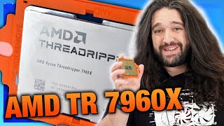 AMD Threadripper 7960X 24Core CPU Review amp Benchmarks vs 7980X 7970X [upl. by Narib]