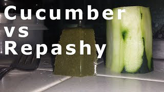 Which Food Do Plecos Prefer Cucumber or Repashy Morning Wood [upl. by Yasmin]