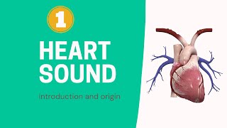 Heart sound  Introduction and origin part 1 [upl. by Adoh43]