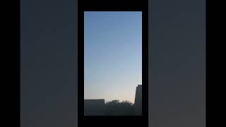 Common Pipistrelle Bat Flying In Slow Mo And The Moon bats nature taylorswift [upl. by Baggott209]