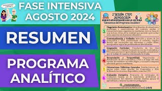 CEAA Infografía EL PROGRAMA ANALÍTICO Fase Intensiva CTE Agosto 2024 [upl. by Nohtiek]