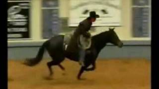 Stacy Westfall 2003 NRHA Futurity Freestyle Bridleless Reining [upl. by Oneill]