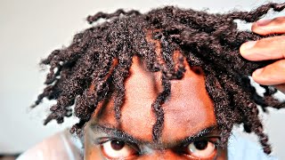 Twist out on Starter Locs  How To Get Curly Dreadlocks Two Strand Twist Method [upl. by Zampino]