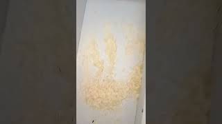 Rice Sella Food  viral rice shorts sella food trending eating home [upl. by Asenaj]