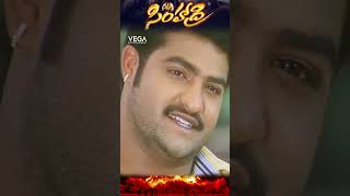 shorts  NTR reminding Nassar words to BhanuChandar Simhadri ntrmovies simhadri4k ntr30 [upl. by Bekelja]