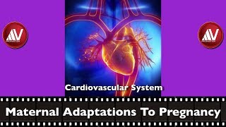 Maternal Adaptations to Pregnancy CVS [upl. by Valley]