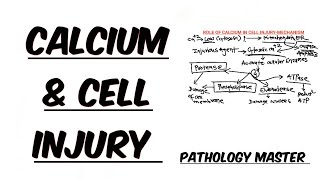 Calcium Induced Cell Injury  Mechanism  Image  Made Easy  Short Video [upl. by Sitnalta]