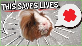 Guinea Pig First Aid Kit and Complete Home Care Guide [upl. by Lucia219]