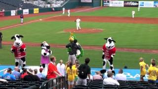 YMCA on Cow Night at the Greensboro Grasshoppers Game July 11 2012 [upl. by Giltzow]