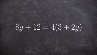 Solving a linear equation with infinite many solutions [upl. by Shiekh]