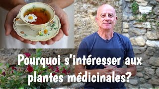 Pourquoi sintéresser aux plantes médicinales [upl. by Darius]